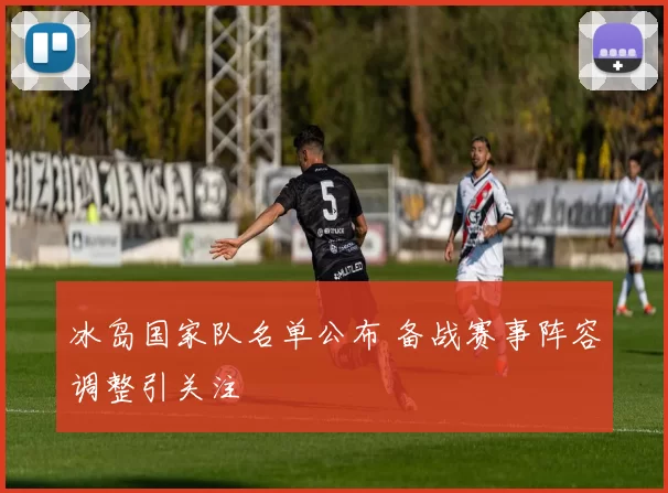 冰岛国家队名单公布 备战赛事阵容调整引关注
