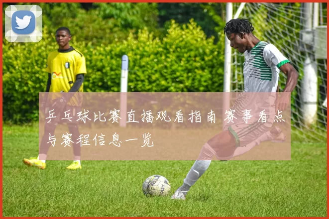 乒乓球比赛直播观看指南 赛事看点与赛程信息一览