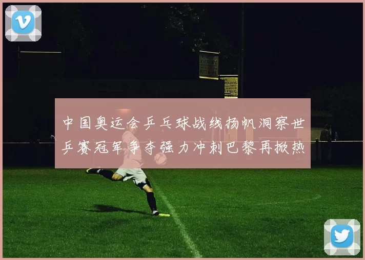 中国奥运会乒乓球战线扬帆洞察世乒赛冠军争夺强力冲刺巴黎再掀热潮
