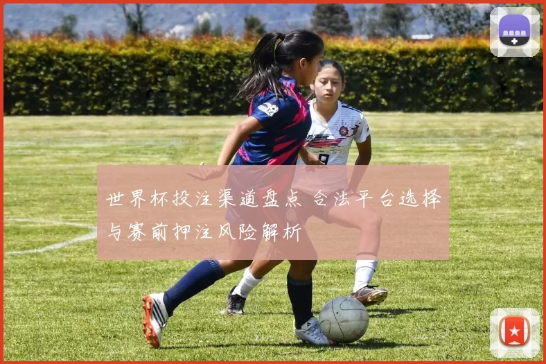 世界杯投注渠道盘点 合法平台选择与赛前押注风险解析