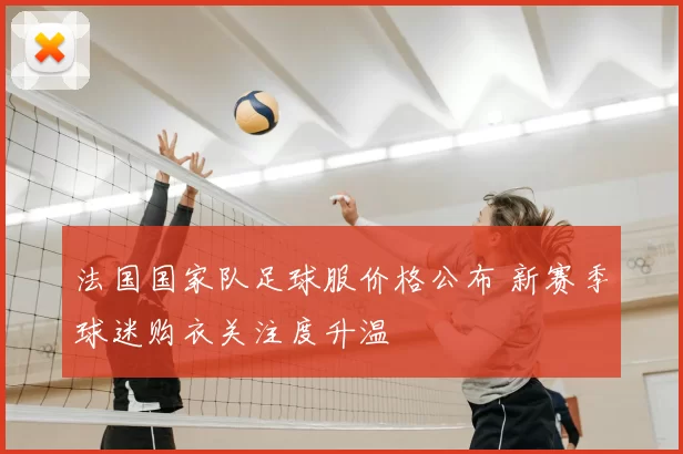 法国国家队足球服价格公布 新赛季球迷购衣关注度升温