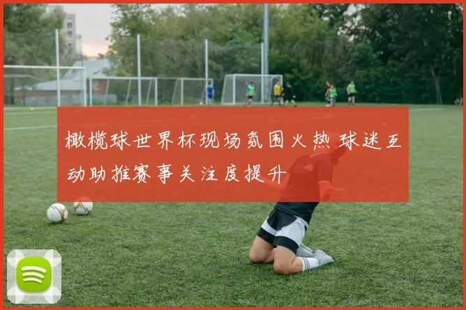 橄榄球世界杯现场氛围火热 球迷互动助推赛事关注度提升