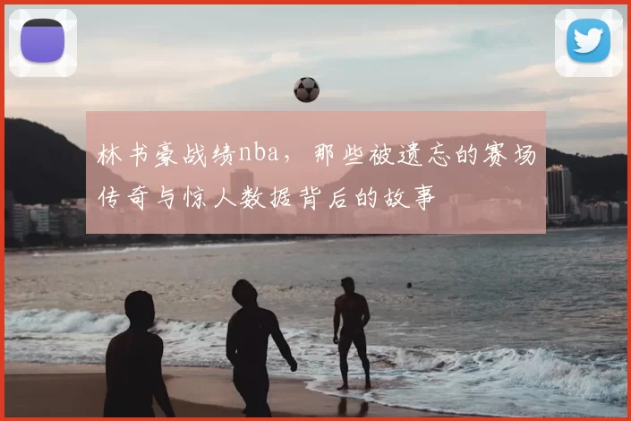 林书豪战绩nba,那些被遗忘的赛场传奇与惊人数据背后的故事