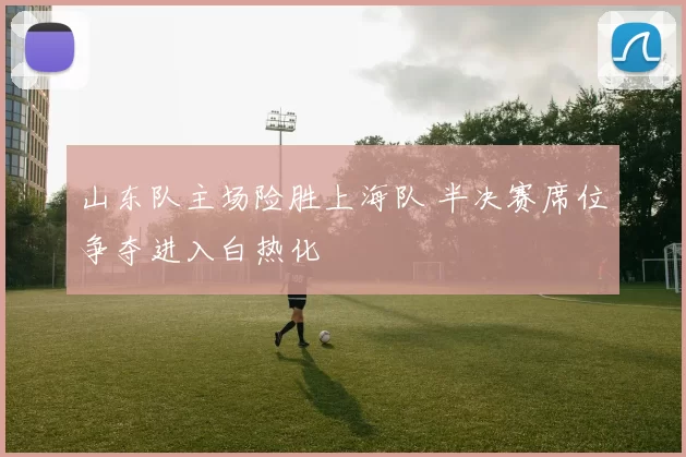 山东队主场险胜上海队 半决赛席位争夺进入白热化