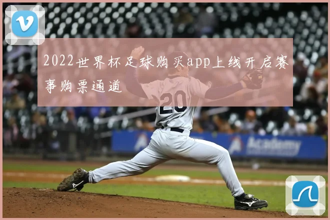 2022世界杯足球购买app上线开启赛事购票通道