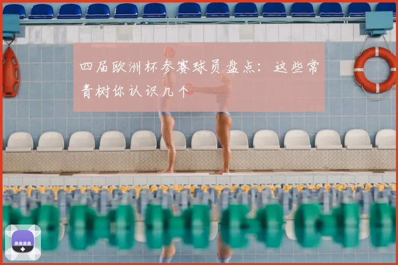 四届欧洲杯参赛球员盘点:这些常青树你认识几个