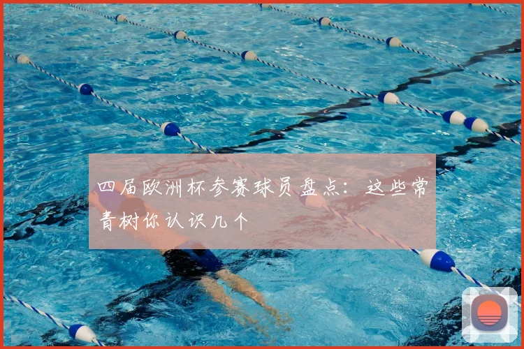 四届欧洲杯参赛球员盘点:这些常青树你认识几个