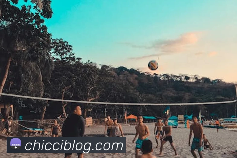 多媒体互动体验